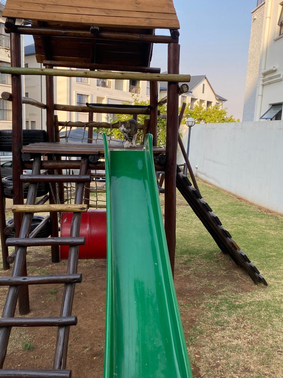little tide ecojungle gym