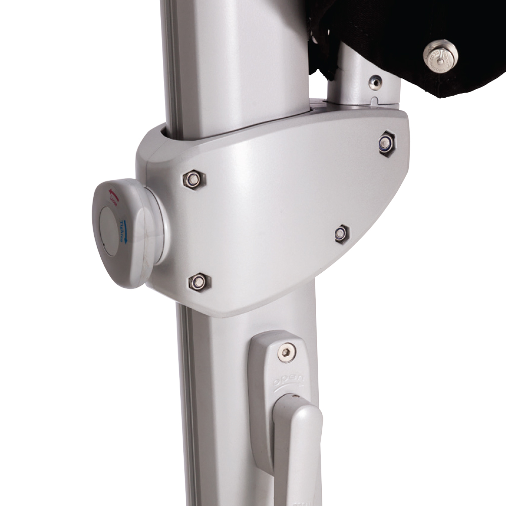 pavone features 1